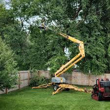 Best Hazardous Tree Removal  in Alvin, TX