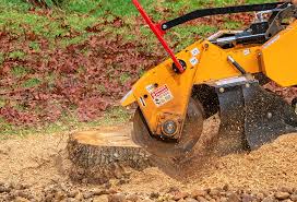 Best Lawn Drainage Solutions  in Alvin, TX